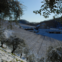 image12