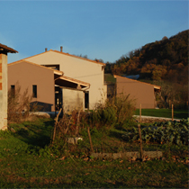 image25