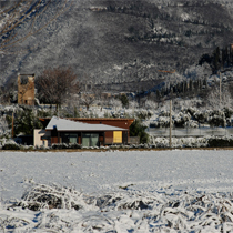 image08
